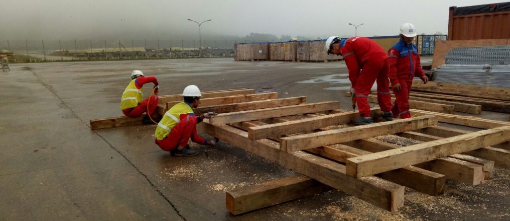 máy đóng pallet gỗ, ảnh thực tế