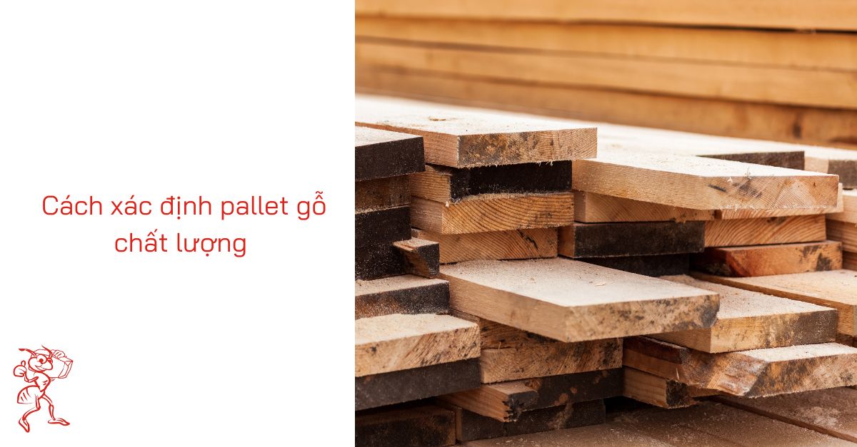 Cách xác định pallet gỗ chất lượng