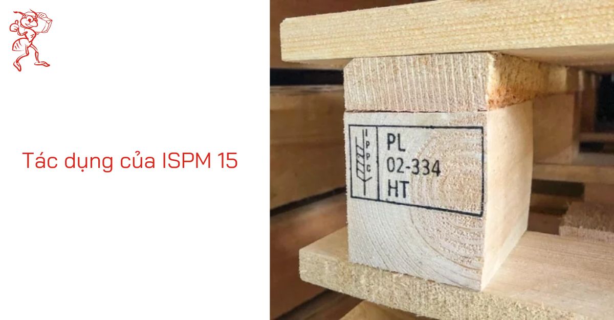 Tác dụng của ISPM 15